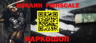 стаф Гай