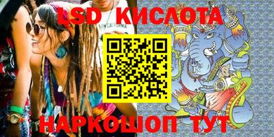 стаф Гай
