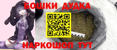 индика Гатчина