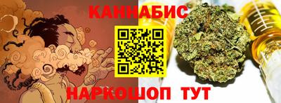 индика Гатчина
