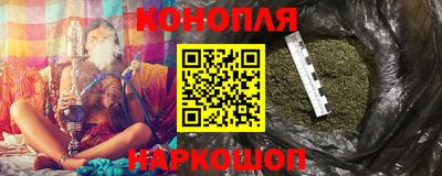 стаф Гай
