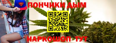 стаф Гай