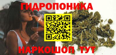 индика Гатчина
