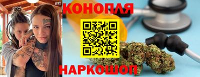 индика Гатчина
