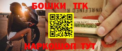 индика Гатчина