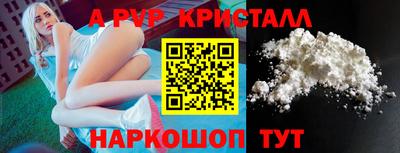 индика Гатчина