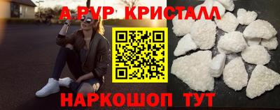 стаф Гай