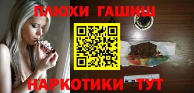 индика Гатчина