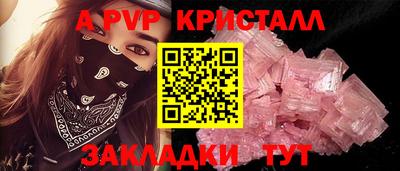индика Гатчина