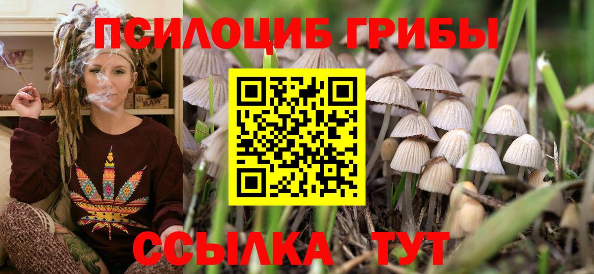 Галлюциногенные грибы MAGIC MUSHROOMS  Вход с VPN  закладки  Славгород  Галлюциногенные грибы мицелий 